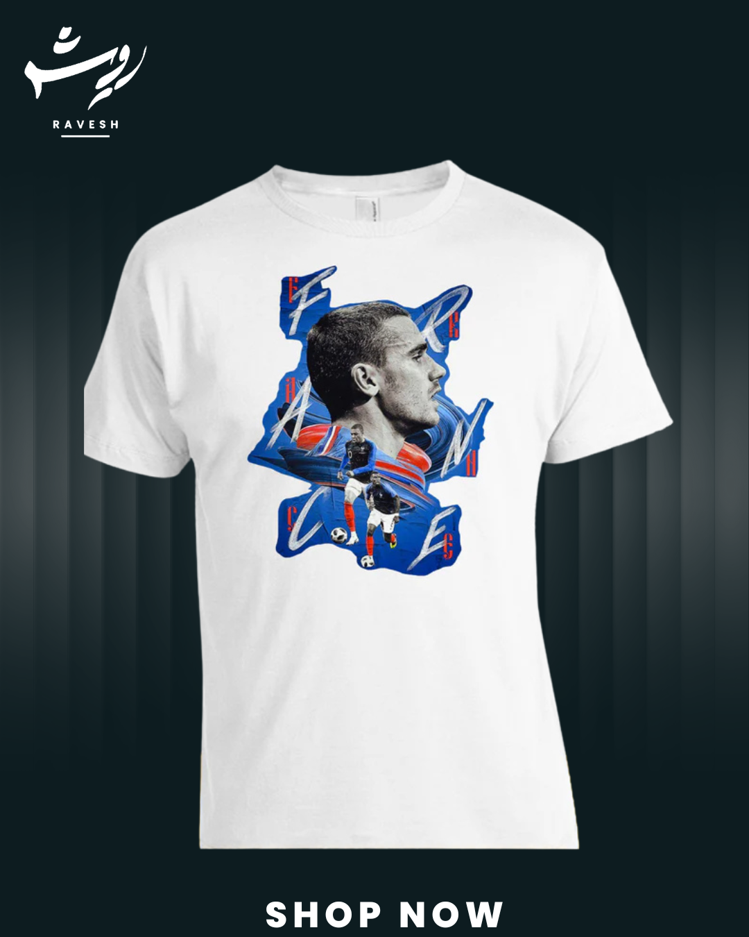 France FIFA Shirt